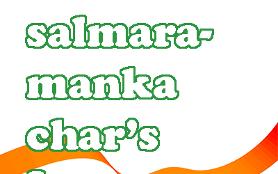 Languages of South-Salmara-Mankachar
