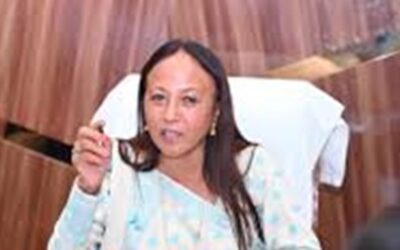 District Commissioner of Karbi-Anglong