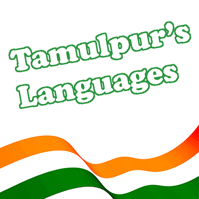 Languages of Tamulpur