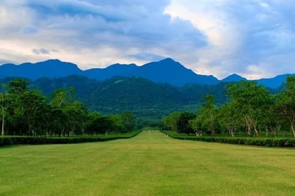 Tea Estates