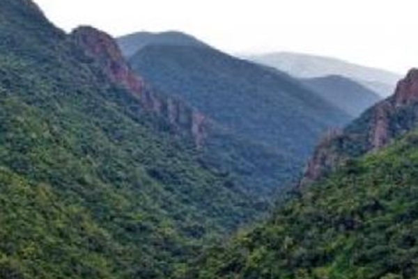 Mandasaru Raikia