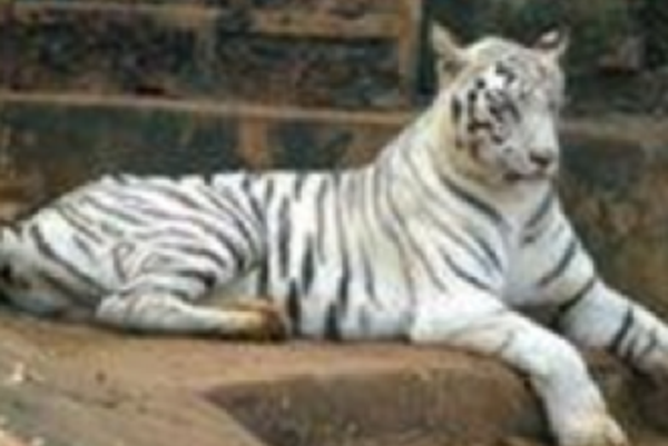 Nandankanan Zoological Park