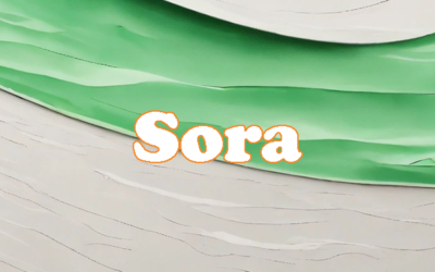 Sora