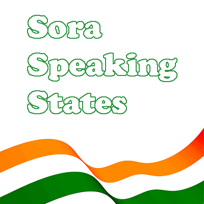 Sora Speaking States