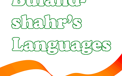 Languages In Bulandshahr