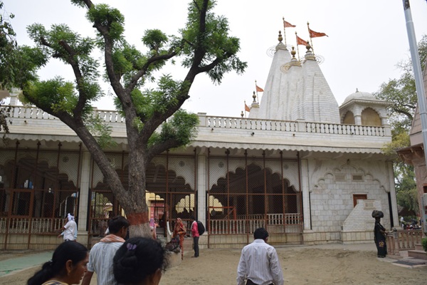 Raman Reti Gokul