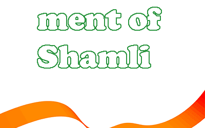 Government of Shamli