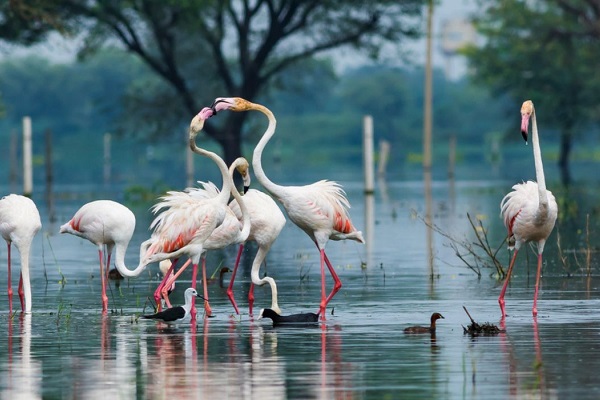 Keoladeo National Park