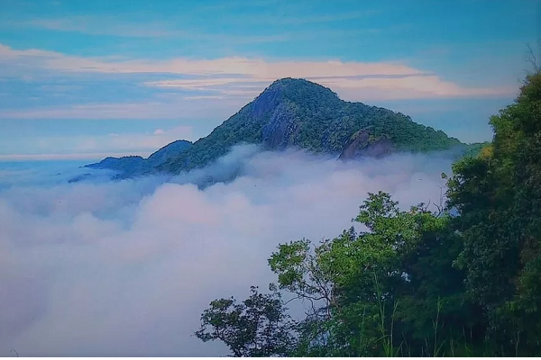 Kotra Hills Point