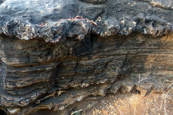 Salkhan Fossil Park