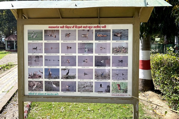 Shahid Chandra Shekhar Azad Bird Sanctuary