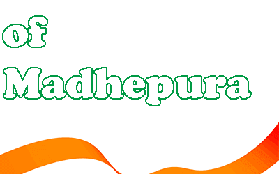 Government of Madhepura